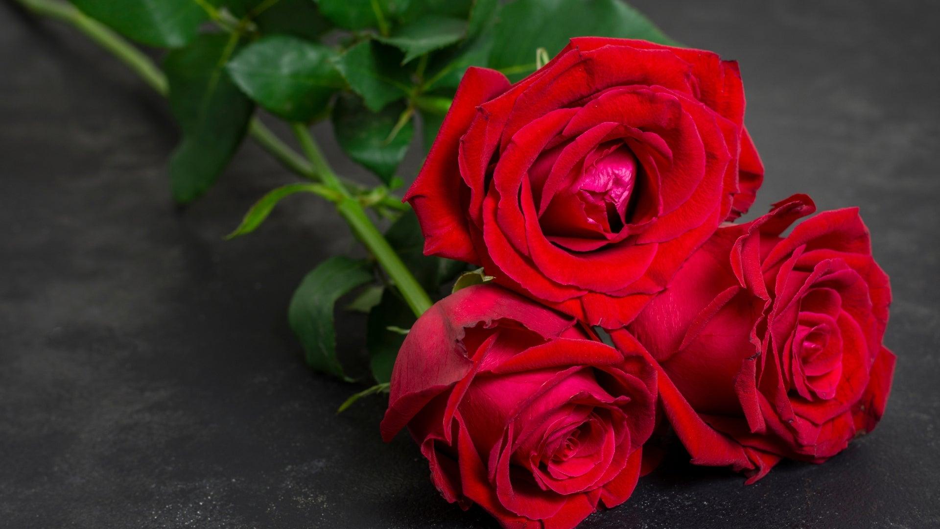 Eternal Rose Collection: Harnessing the Beauty Secrets of Roses – Orive ...